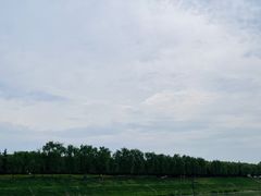 -洨河生态公园