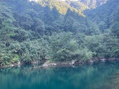-大奇山国家森林公园