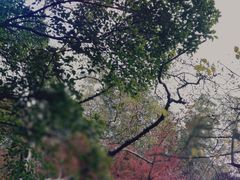 -汇龙潭