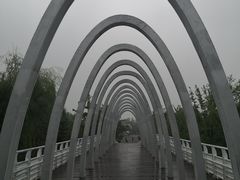 -大兴滨河森林公园