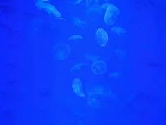 -沈阳海洋探索中心