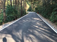 -三门江国家森林公园