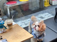 -洋洋广场(南街店)