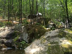 -牛背梁国家森林公园