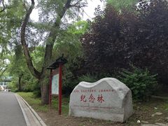 -北山公园
