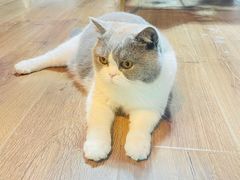 -暗楼·剧本杀·桌游