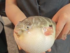 -永安鱼庄·镇江菜(东吴路店)