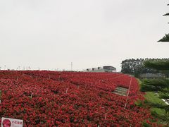 -迪茵湖田家舍生态农场