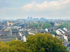 -顽啤熊·酒客酒馆(苏城夜景必选店)