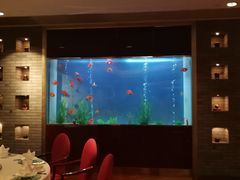 -阳澄湖费尔蒙酒店颐丰阁中餐厅(马鞍山西路店)