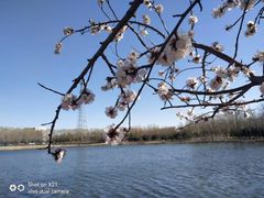 -大兴滨河森林公园