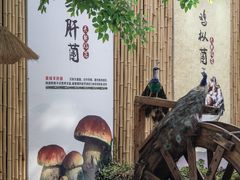 -大理董·董家小厨野生菌火锅(古城旗舰店)