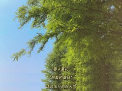 -阳澄湖半岛旅游度假区
