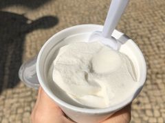 -洪馨椰子
