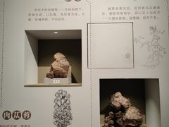 -北京中医药大学-中医药博物馆
