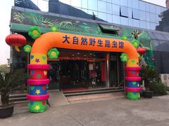 -上海大自然野生昆虫馆(东方明珠·爬宠昆虫探索中心)
