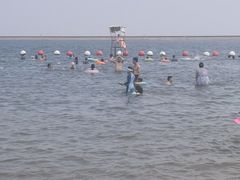 -碧海金沙
