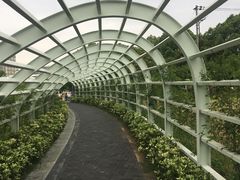 -紫荆广场·花漫里