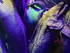 -太平洋海底世界