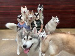 -TrueLove @ Neverland (Husky Cafe)