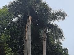 -广州市白云山风景名胜区
