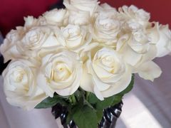 -塞纳河法国餐厅(意式风情街店)