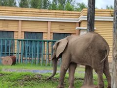 -哈尔滨北方森林动物园