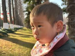 -黄海国家森林公园