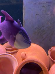 -Zoolung Zoolung动物主题公园(海信广场店)