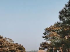 -清西陵