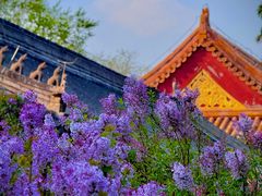 -北京市劳动人民文化宫(太庙)