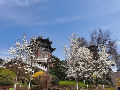 -湛山寺