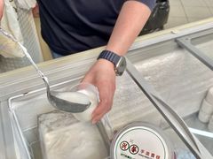 -洪馨椰子
