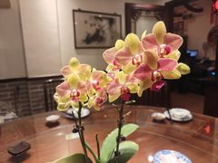 -山水茶艺馆·点心粤菜·30年老字号