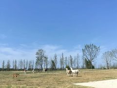 -宿豫区运河湾森林动物园