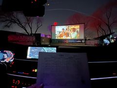 -枫花园汽车电影院(朝阳公园店)