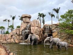 -美的鹭湖探索王国