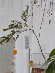 -金禧化妆造型工作室(市桥地铁站店)