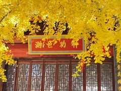 -上海青龙寺
