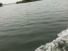 -太湖湖滨国家湿地公园-停车场
