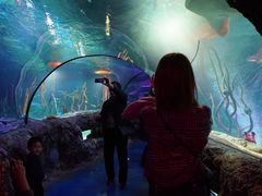 -沈阳海洋探索中心