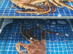-本家食堂(华南店)