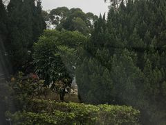 -大埔公路-马料水段香港中文大学(公交站)