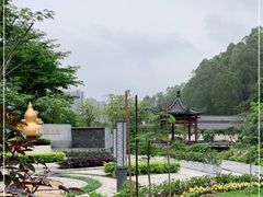 -广州神农草堂中医药博物馆