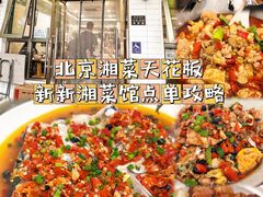 -新新湘菜馆(新中街二条店)