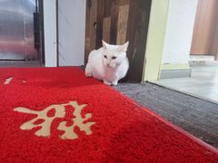 -永宁台球·棋牌俱乐部(淮海路店)