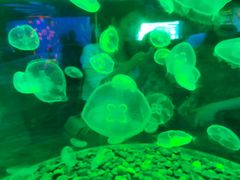 -多彩贵州城极地海洋世界