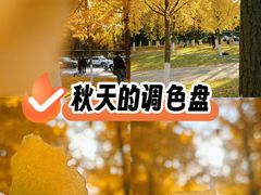 -浙江大学(紫金港校区)