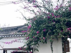 -喜洲翰林餐厅(董家百年老宅店)