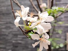 -南堂馆·新川菜(天府三街店)